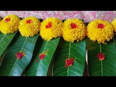 yellow flowers are arranged on green leaves