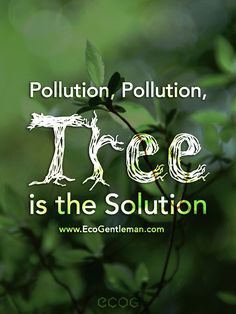 a quote on pollution, pollution, tree is the solution