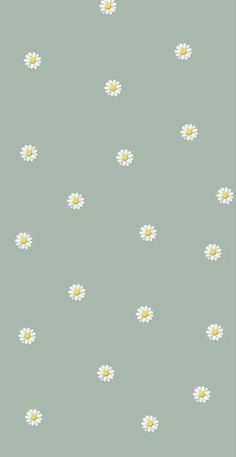 white daisies on a light green background with tiny yellow ones in the center and bottom