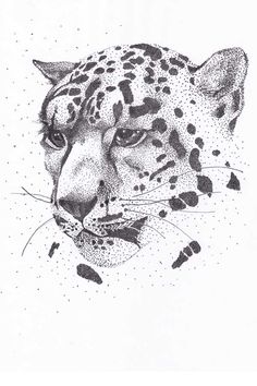 a black and white drawing of a leopard's face with spots all over it