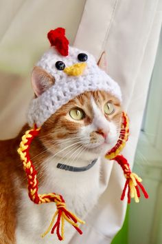 an orange and white cat wearing a chicken hat