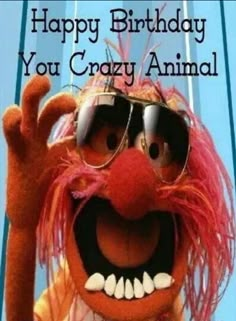 a happy birthday card for an animal with sunglasses on it's face and the words, happy birthday you crazy animal