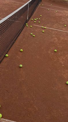 several tennis balls are scattered on the ground