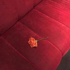 a flower that is sitting on the back of a couch