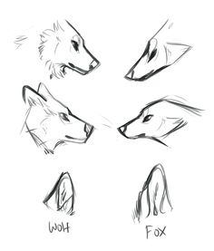 four different types of fox heads drawn in black and white with the words, how to draw