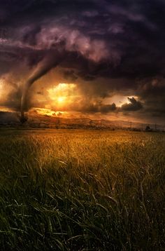 the sun is setting over an open field with storm clouds in the sky and grass on the ground