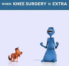 an image of a cartoon character next to a dog with the caption when knee surgery is extra