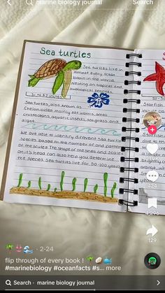 an open notebook with sea turtles on it and some other things in the pages below