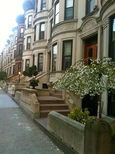 there are many buildings along this street with flowers in the planters on the sidewalk