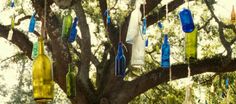 there are many bottles hanging from the tree