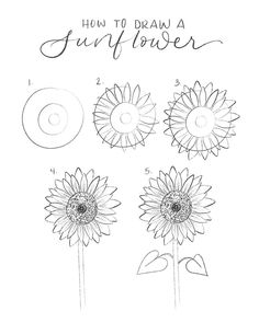 how to draw a sunflower step by step with pictures and instructions for beginners