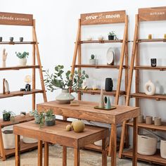 two wooden shelves with plants and vases on them