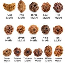 the different types of nuts and their names are shown in this chart, which includes each individual