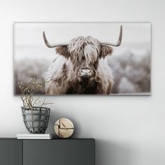 a cow with large horns standing in front of a wall mounted canvas on the wall