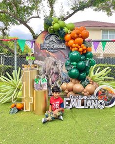 a young boy sitting in front of an outdoor sign with balloons and animals on it