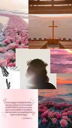 a collage of pink flowers with a cross in the background