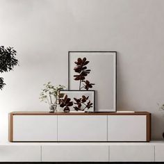 there is a plant on top of the white cabinet in the room with two framed pictures above it