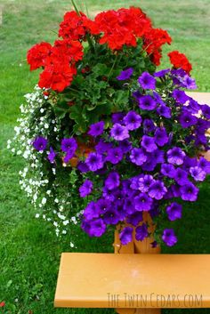 a potted plant with purple and red flowers on a bench in the grass next to some white and pink flowers