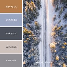 an aerial view of a road surrounded by snow covered trees with the words winter on it