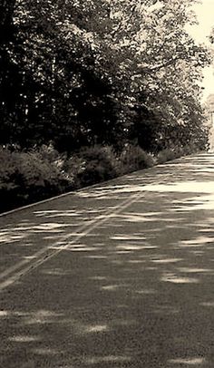 a black and white photo of a street with trees on both sides, in the middle of an empty road