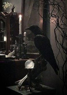 a black bird sitting on top of a wooden table next to a mirror and candles