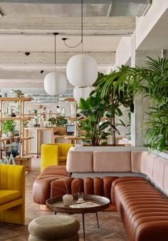 a room with couches, tables and plants in it