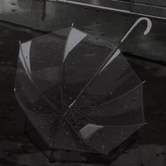 black and white photograph of an umbrella in the rain