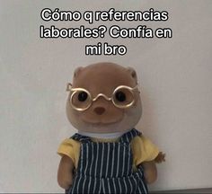 a stuffed animal with glasses on it's head and the caption reads, como que referencias laborales? confia en mi rio