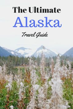 the ultimate alaska travel guide with mountains in the background