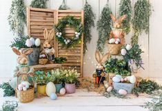 several wooden crates filled with plants and bunnies