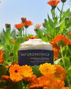 A rich, protective moisturizer that helps lock in hydration and replenish the skin barrier. In this advanced formula, soothing Calendula and strengthening Tremella work together for noticeably softer skin. Asian Medicine, Spa Gift Card, Enzyme Peel, Skin Care Quiz, Cocoa Seeds, Turmeric Root, Vitamin K, Hydrating Cream, Theobroma Cacao