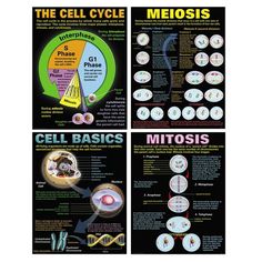 the cell cycle is shown in three different ways, including photos and text on black paper