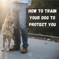 a man standing next to his dog on the street with text overlay how to train your dog to protect you