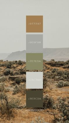 the color palette is different shades of green, brown, and white in this desert landscape