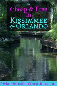 a river surrounded by trees with the words cheap and free in kissimme and orlando