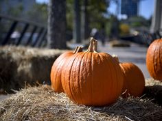 three pumpkins sitting on top of hay bales