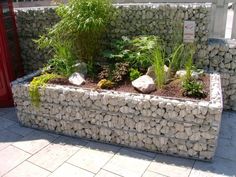 a stone wall with plants growing in it