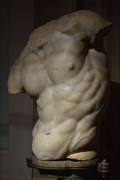 there is a statue that looks like a man's torso and back with no shirt on