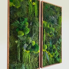 an artificial green wall with moss and ferns on the sides, in front of a wooden frame