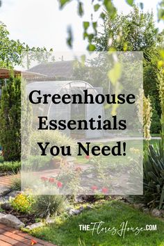 greenhouse supplies, supplies for greenhouse, small greenhouse supplies, ikea greenhouse supplies, indoor greenhouse supplies Greenhouse Plants Best, Add On Greenhouse, Setting Up Greenhouse, What To Put In A Greenhouse, Greenhouse Placement In Yard, Greenhouse Beginner, How To Set Up A Greenhouse, Greenhouse Setup Inside, Greenhouse Name Ideas