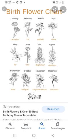 the birth flower chart is displayed on an iphone screen, with other flowers and names below it