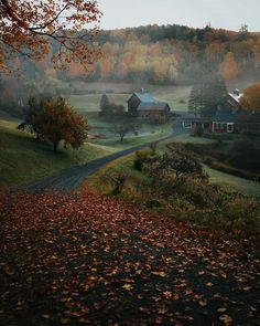 an autumn scene with leaves on the ground and a house in the distance, surrounded by trees