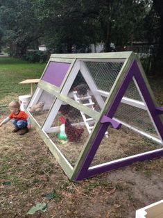 a little boy playing with chickens in a purple and white chicken coop on the grass