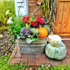 a potted planter filled with flowers and pumpkins