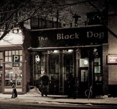 the black dog is sitting on the sidewalk outside in front of the building with its door open