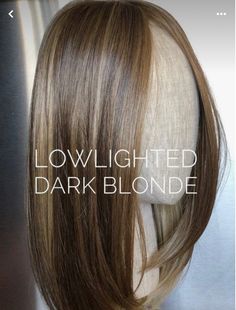 High And Lowlights Brunettes, Dark Blonde Hair For Pale Skin, Low Light Dark Blonde, 6na Hair Color, Low Lighted Dark Blonde, Dark Hair Highlights And Lowlights, Hi Lights And Low Lights Brown Hair, Dark Blonde Hair With Lowlights, Blended Highlights And Lowlights Blonde