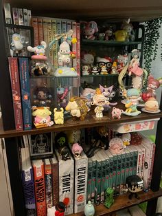 a book shelf filled with lots of anime figurines