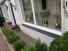 two vases with flowers in them sit on the window sill next to bushes