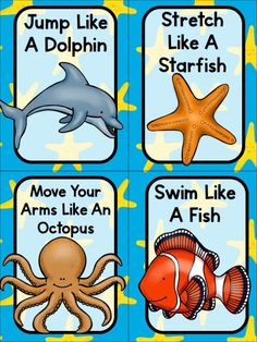 four cards with different types of animals and words on them, including an octopus, starfish