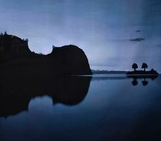 an island in the middle of a body of water with two trees on top of it